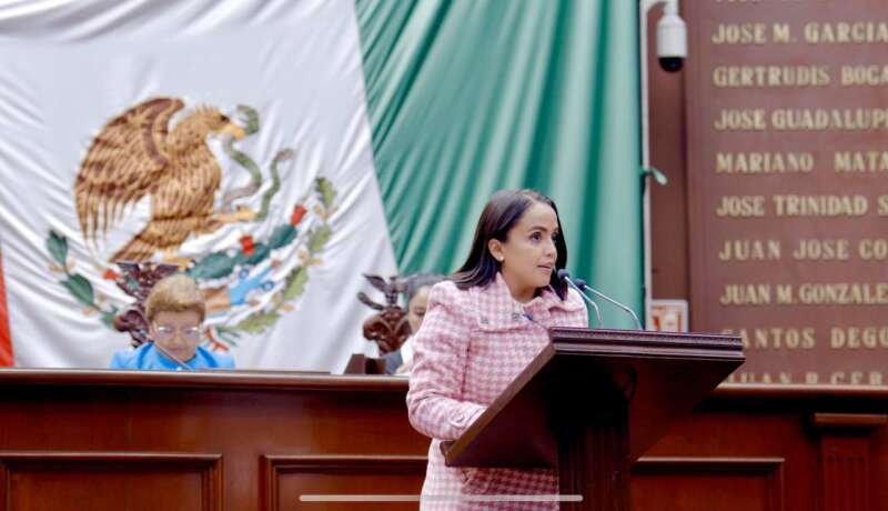 Reformas de AMLO sólo buscan privilegiar sus intereses y no el bienestar de los mexicanos: Andrea Villanueva