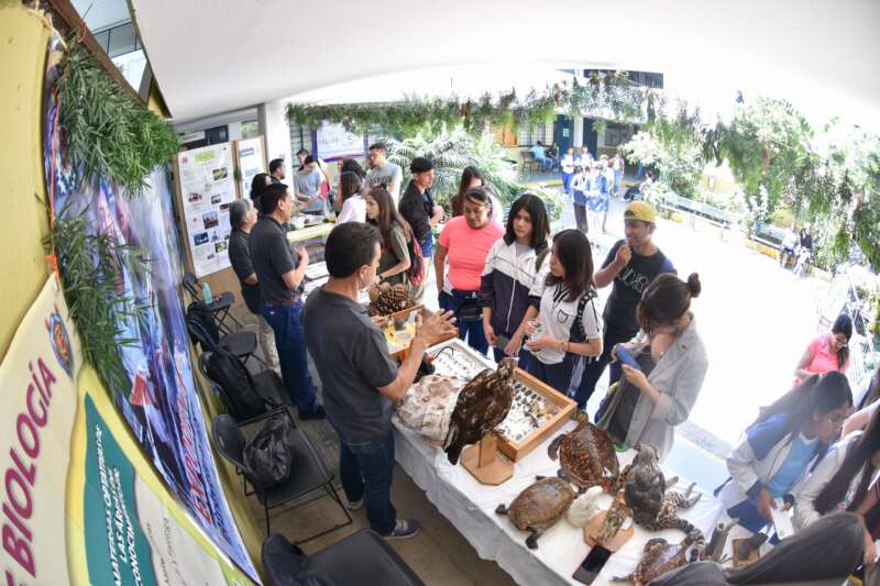 Todo un éxito Exporienta de la UMSNH; rompe récord de visitantes