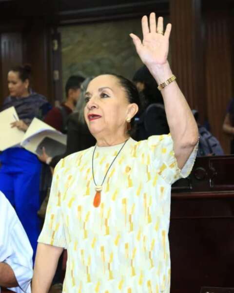 Gobierno deberá instrumentar un Sistema Estatal de Registro de Padrón de Ganaderos: Julieta Gallardo