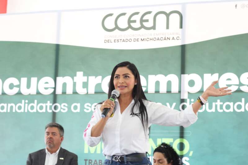 Sin seguridad difícilmente habrá desarrollo, ¡hay que cambiar la estrategia!: Araceli Saucedo