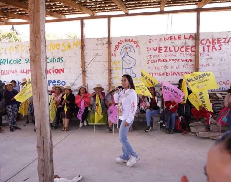 Participación y representación de pueblos indígenas deben estar en la toma de decisiones en lo estatal y nacional: Gloria Tapia
