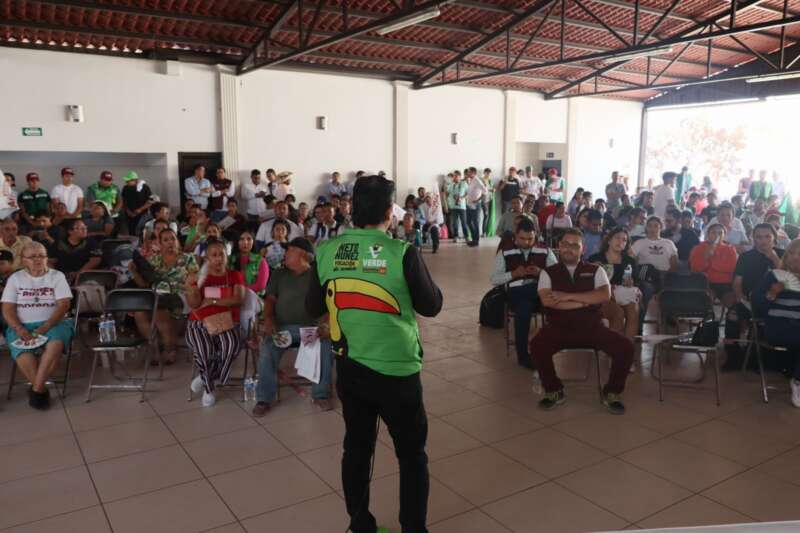 Intereses de las juventudes serán respaldados por el Partido Verde: “Neto” Núñez