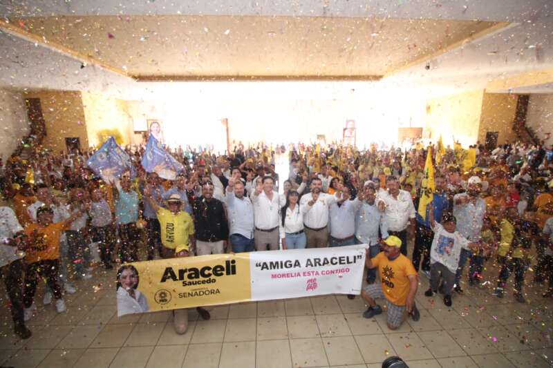 Con nuestro voto, vamos a vivir la fiesta democrática que México se merece: Araceli Saucedo