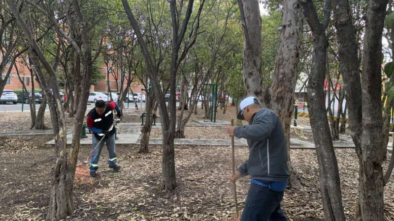 Realizan jornada de limpieza integral en la colonia Cosmos