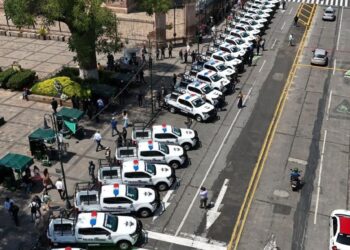 El responsable de la seguridad en Michoacán es el gobierno,; los Kuaricha solo coadyuvamos