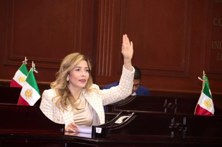 Urge Diputada local Brissa Arroyo integrar Comisiones Legislativas