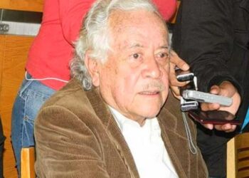 Diputado 501… “LA BABEL CONSTITUCIONAL”