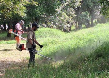 Gobierno de Morelia lleva jornadas de limpieza integral a parque Arboretum