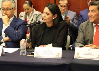 Araceli Saucedo integra comisión de Hacienda y Crédito Público en el Senado de la República