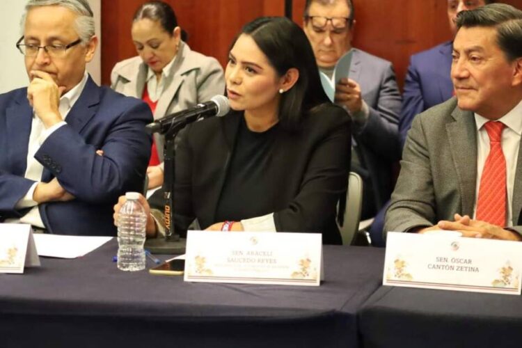 Araceli Saucedo integra comisión de Hacienda y Crédito Público en el Senado de la República