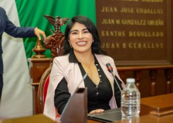 Preside Vanhe Caratachea Comisión de Protección a la Niñez y Adolescencia