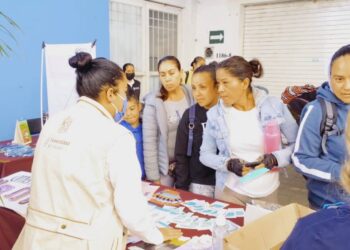 El dengue, convertido en un problema de salud pública en Michoacán: SSM