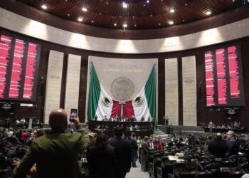 Por unanimidad, la Cámara de Diputados aprobó que las vías férreas se usen para trenes de pasajeros