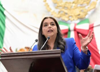 Presenta diputada Tere Herrera iniciativa para garantizar atención integral a mujeres embarazadas