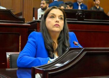 Va diputada Tere Herrera por la defensa de los derechos de las familias