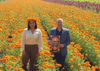 FIESTA DE LA FLOR DE CEMPASÚCHIL 2024: CULTURA Y TRADICIÓN EN TARÍMBARO