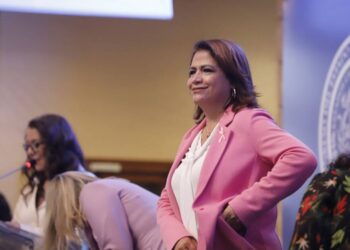 Reformas energética y ferroviaria garantizan el respeto a la soberanía nacional: Fabiola Alanís