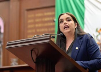 Es momento de legislar por una vida libre de violencia para las mujeres: diputada Tere Herrera