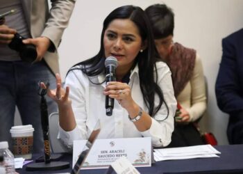 Aumentar penas contra feminicidas en todo el país plantea Araceli Saucedo