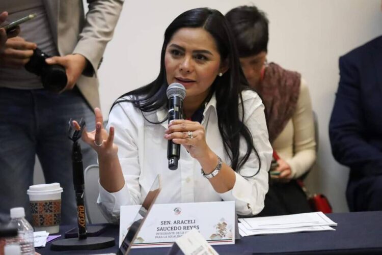 Aumentar penas contra feminicidas en todo el país plantea Araceli Saucedo