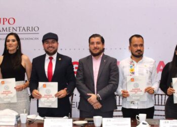 Propuestas ciudadanas, el ingrediente principal del la Agenda del PT en el Congreso: Reyes Galindo