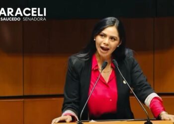 Desde el Senado aportamos a fortalecer la seguridad en el país: Araceli Saucedo Reyes