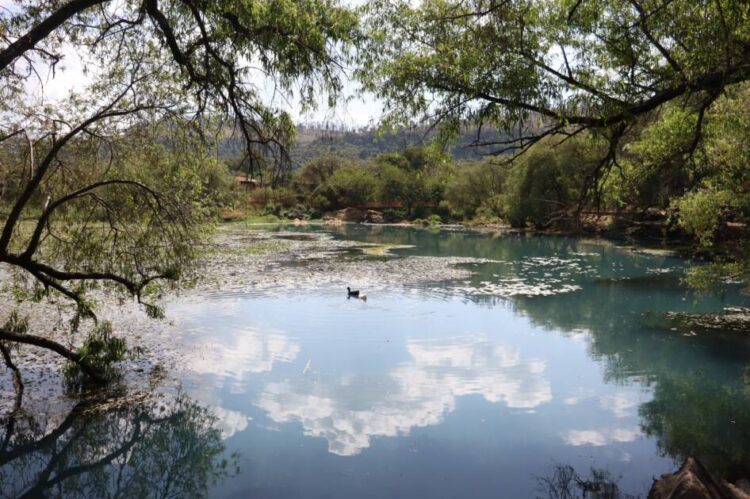 Limpiarán manantial de La Mintzita para conservar área protegida