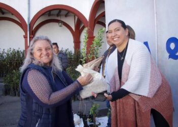 Entregan árboles frutales en Quiroga para impulsar la economía local y fortalecer la seguridad alimentaria