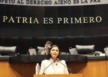 Desde el Senado se garantiza atención a mujeres y fortalecer la administración pública federal: Araceli Saucedo