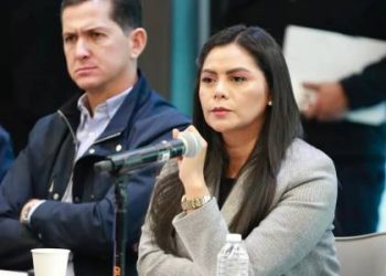 Listo dictamen en materia de protección a las mujeres en el Senado: Araceli Saucedo