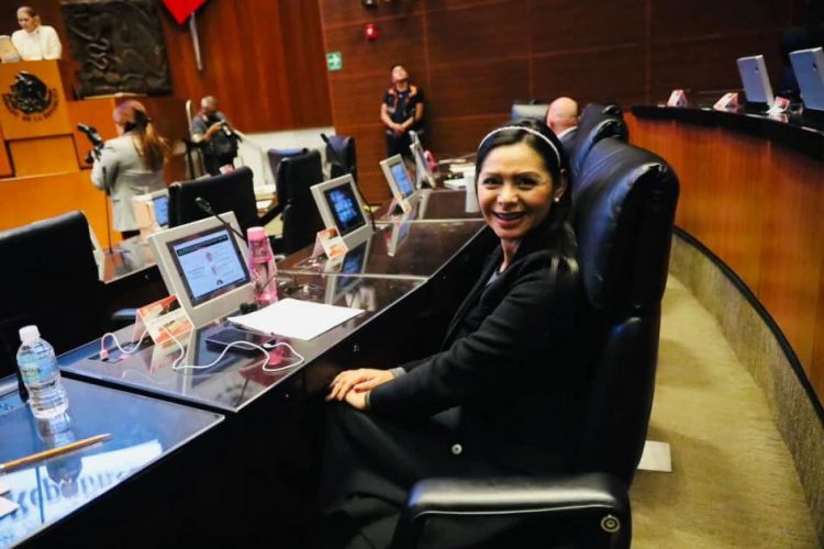 No habrá nuevos impuestos en México en 2025: Araceli Saucedo