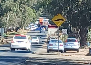 En enero, el refrendo vehicular 2025 en Michoacán tendrá solo el 10% de descuento