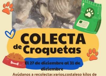 Último Croquetón del Año en Maravatío Busca Apoyo para Perros Callejeros