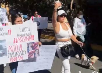 Tras manifestación de animalistas, la Fiscalía General investiga acto de crueldad animal en Jacona