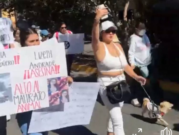Tras manifestación de animalistas, la Fiscalía General investiga acto de crueldad animal en Jacona
