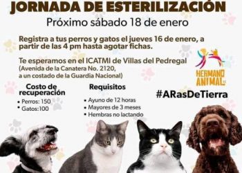 Primera Feria de Esterilización 2025: Por un Futuro sin Abandono Animal