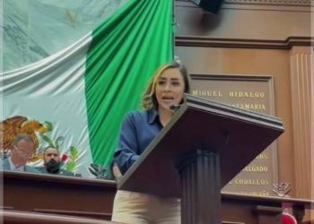 Reforma a Ley Orgánica de Administración Pública no garantiza transparencia ni rendición de cuentas: Grecia Aguilar Mercado