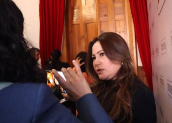 Gobierno de México hace lo necesario para proteger a nuestros migrantes, remarca Jaqueline Avilés tras llamar la unidad