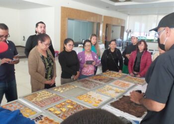 Realizan en Uruapan vanguardista taller de deshidratado de frutas con energía solar combinado con inteligencia artificial
