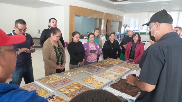 Realizan en Uruapan vanguardista taller de deshidratado de frutas con energía solar combinado con inteligencia artificial