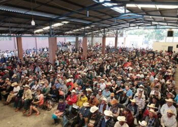 Gobierno de Alfonso Martínez, cercano al sector Ganadero