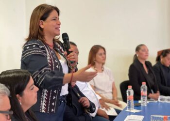 Nuevo Modelo de Salud de México beneficiará a pacientes con insuficiencia renal: Fabiola Alanís