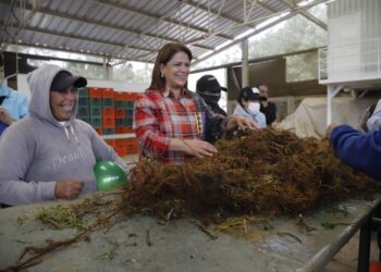Michoacán genera más de 17 mil mdp en berries pizcadas por jornaleras