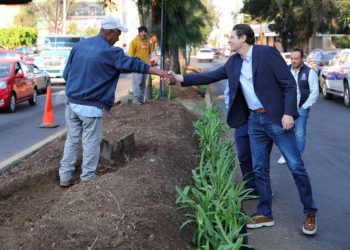 Alfonso Martínez supervisa rehabilitación de camellón en Artilleros del 47