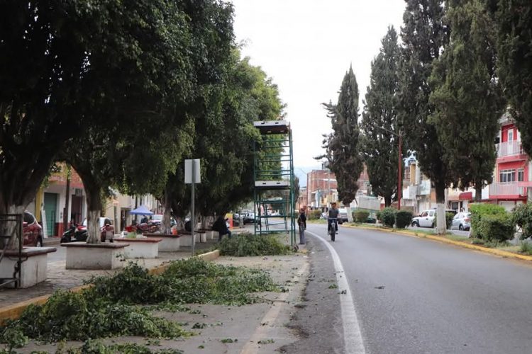 Alma Mireya González impulsa iniciativa por un Quiroga verde y saludable