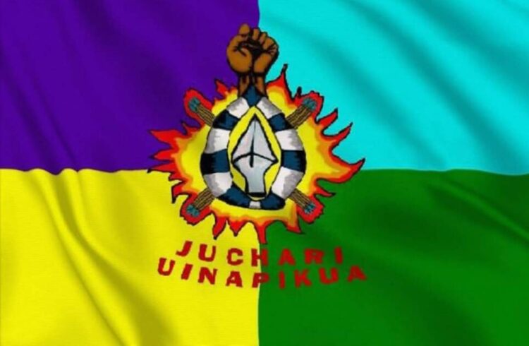 La bandera purépecha: símbolo de identidad y unión