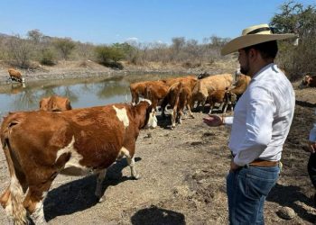 PRD Michoacán cierra filas con productores ante aranceles de Estados Unidos: Octavio Ocampo