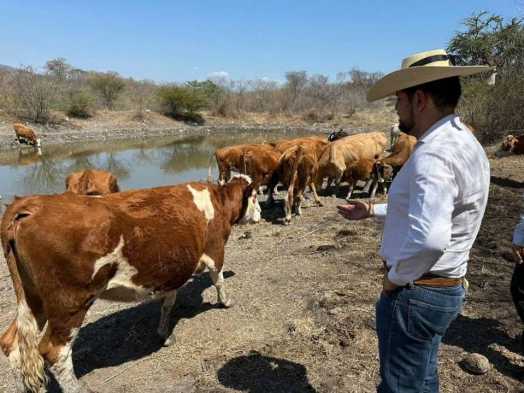 PRD Michoacán cierra filas con productores ante aranceles de Estados Unidos: Octavio Ocampo