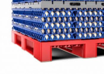 Los dejan sin huevos al robar un tractocamión sobre la carretera La Piedad–Yurécuaro