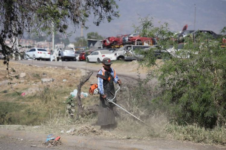Gobierno de Morelia atiende con limpieza integral la Avenida Miguel Hidalgo y Oriente 6